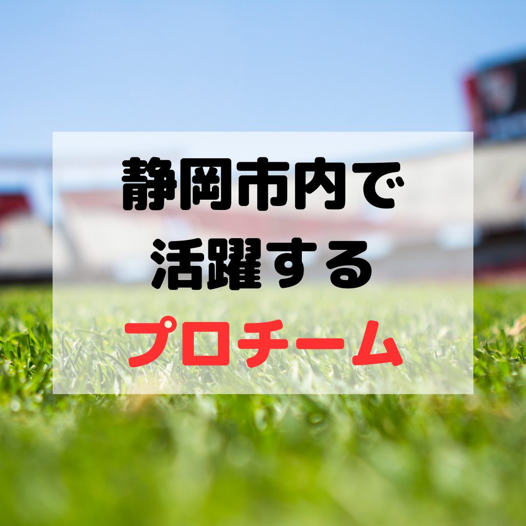 静岡市にある5つのプロチームを観戦しよう！