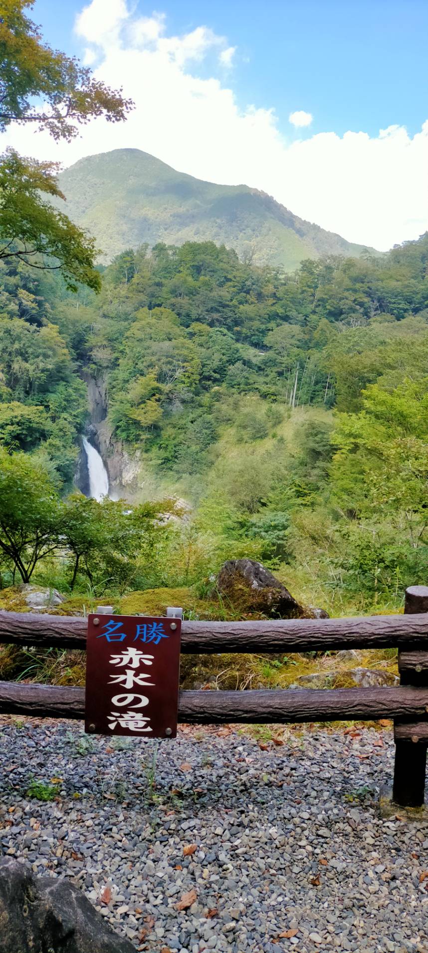 【2024年10月2日現在】梅ヶ島温泉郷の紅葉状況