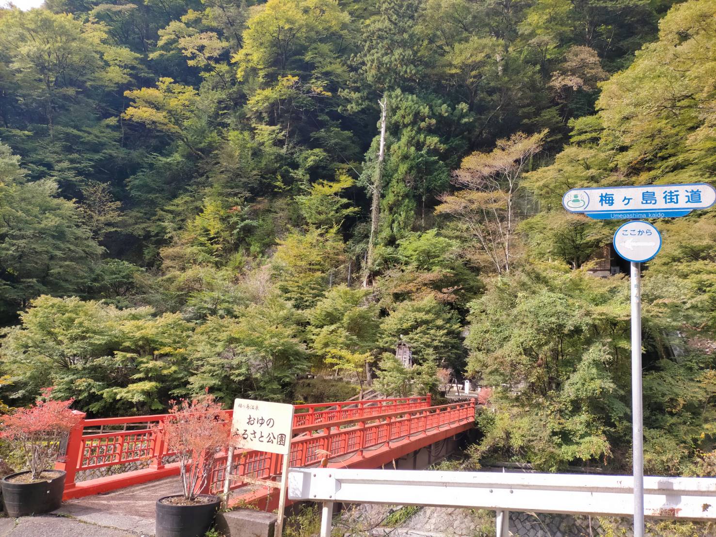 【2024年10月19日現在】梅ヶ島温泉郷の紅葉状況