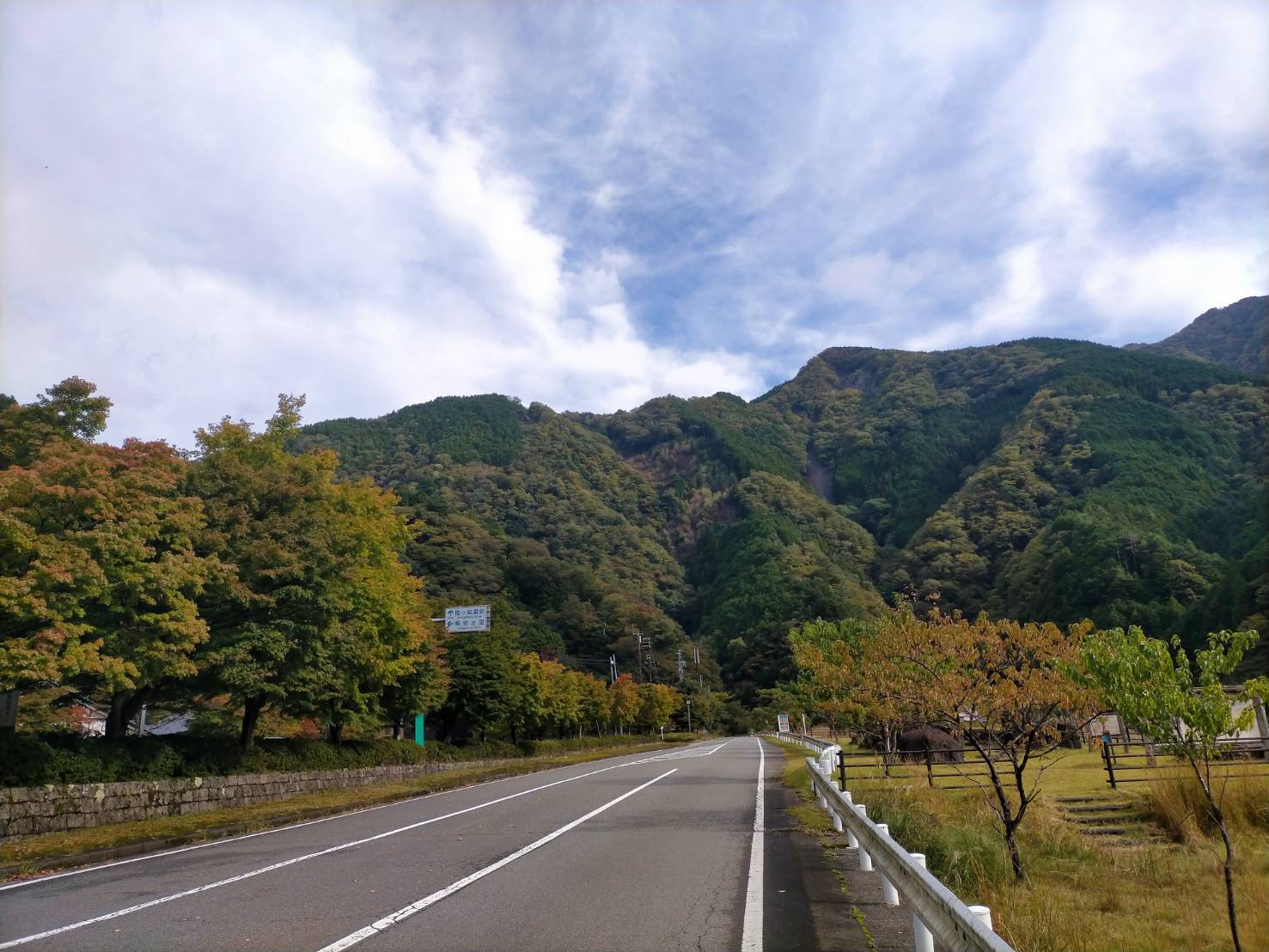 【2024年10月19日現在】梅ヶ島温泉郷の紅葉状況