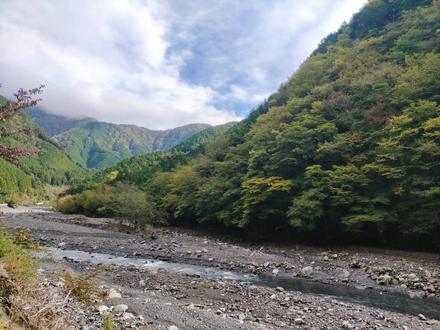 【2024年10月19日現在】梅ヶ島温泉郷の紅葉状況