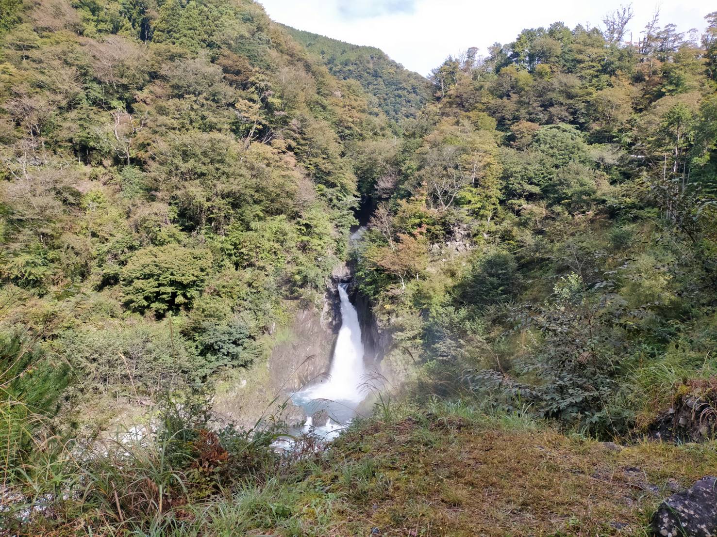 【2024年10月19日現在】梅ヶ島温泉郷の紅葉状況