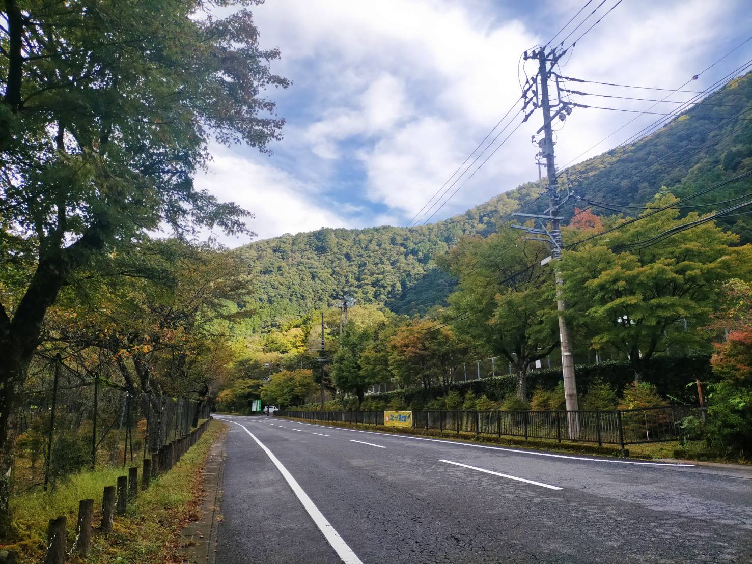 【2024年10月19日現在】梅ヶ島温泉郷の紅葉状況