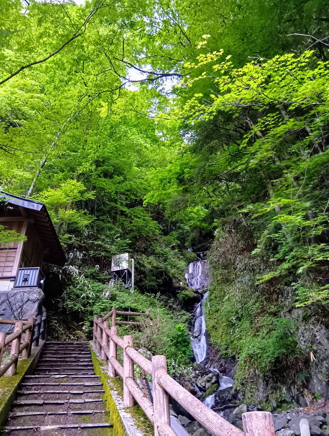 梅雨入り前に知っておきたい！梅ヶ島の6月の天気と過ごし方