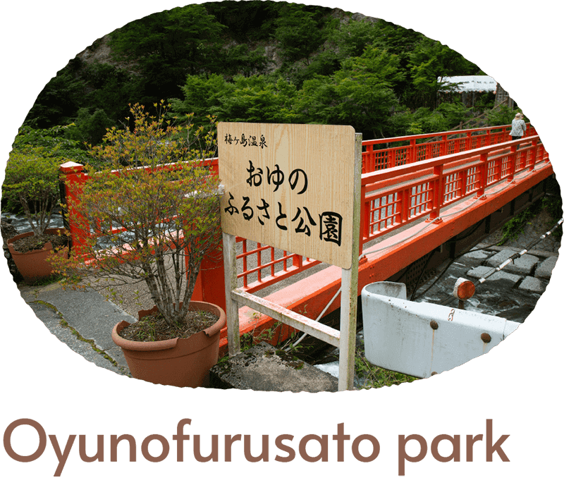Oyunofurusato park