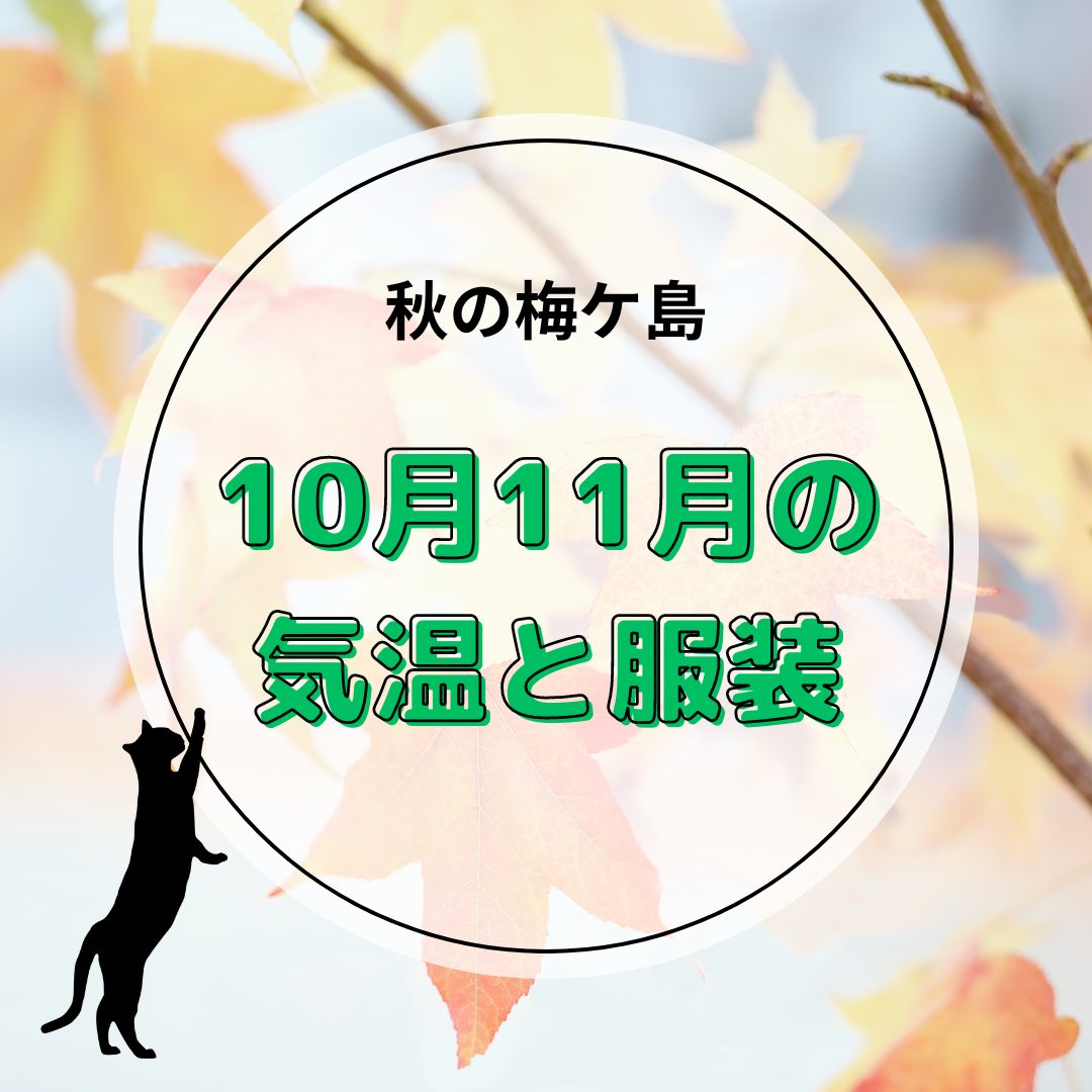 【静岡市葵区梅ケ島】10月11月の気候と服装について。