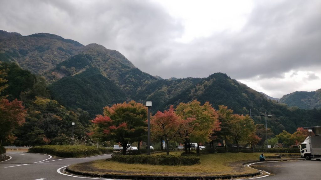 【紅葉情報】2022年10月下旬の梅ヶ島の紅葉について