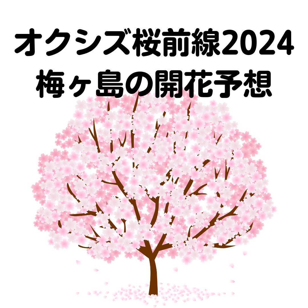 梅ヶ島の桜の見ごろはいつ？オクシズエリアの桜前線2024