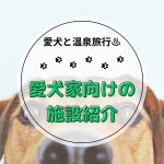 愛犬とのんびり過ごす♪静岡のペット可温泉宿「湯の華」施設のご案内