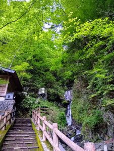 梅雨入り前に知っておきたい！梅ヶ島の6月の天気と過ごし方