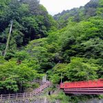 梅雨入り前に知っておきたい！梅ヶ島の6月の天気と過ごし方