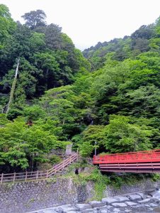 梅雨入り前に知っておきたい！梅ヶ島の6月の天気と過ごし方