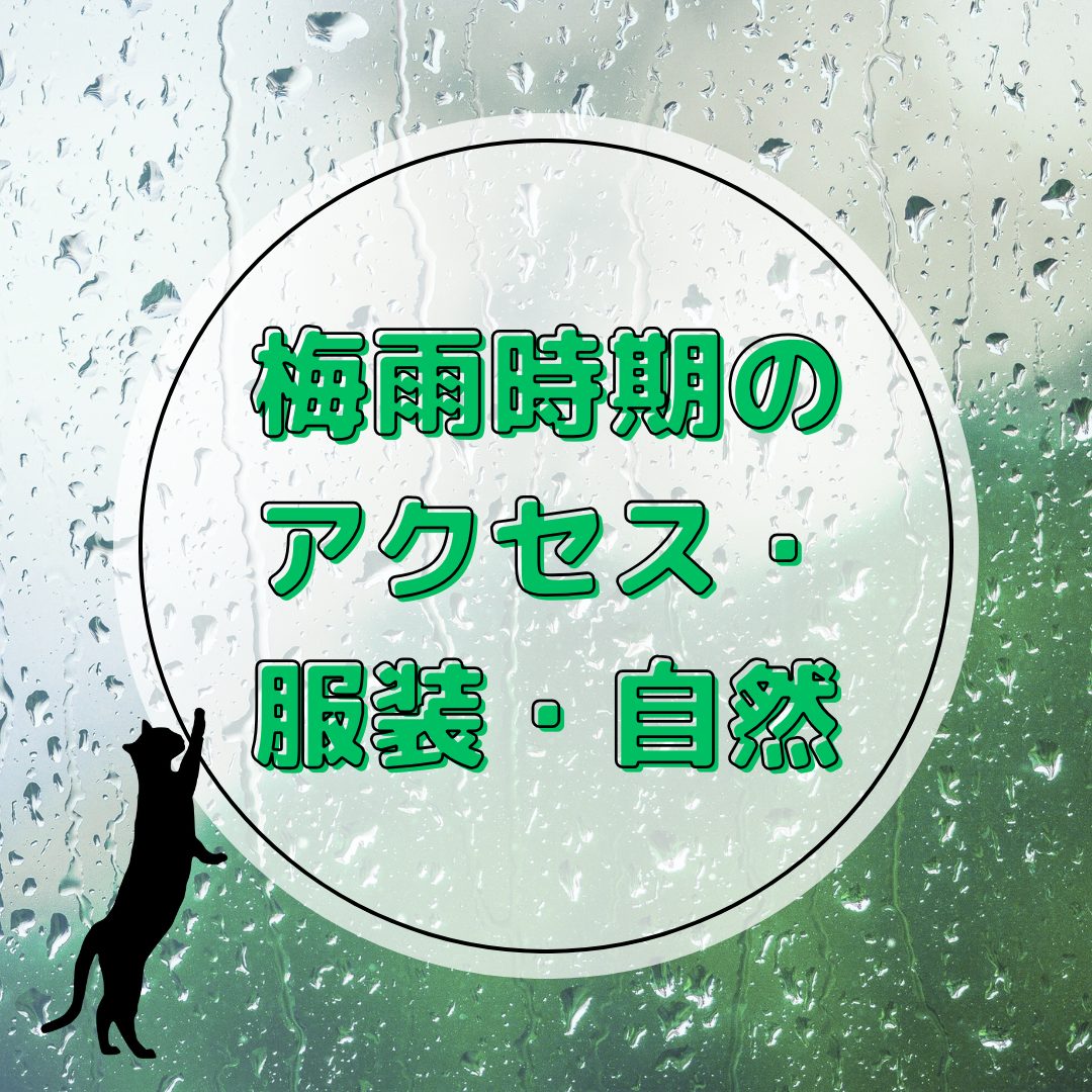 【梅ヶ島情報】6月の旅行で気をつけたい！梅雨時のアクセス・服装・自然の魅力