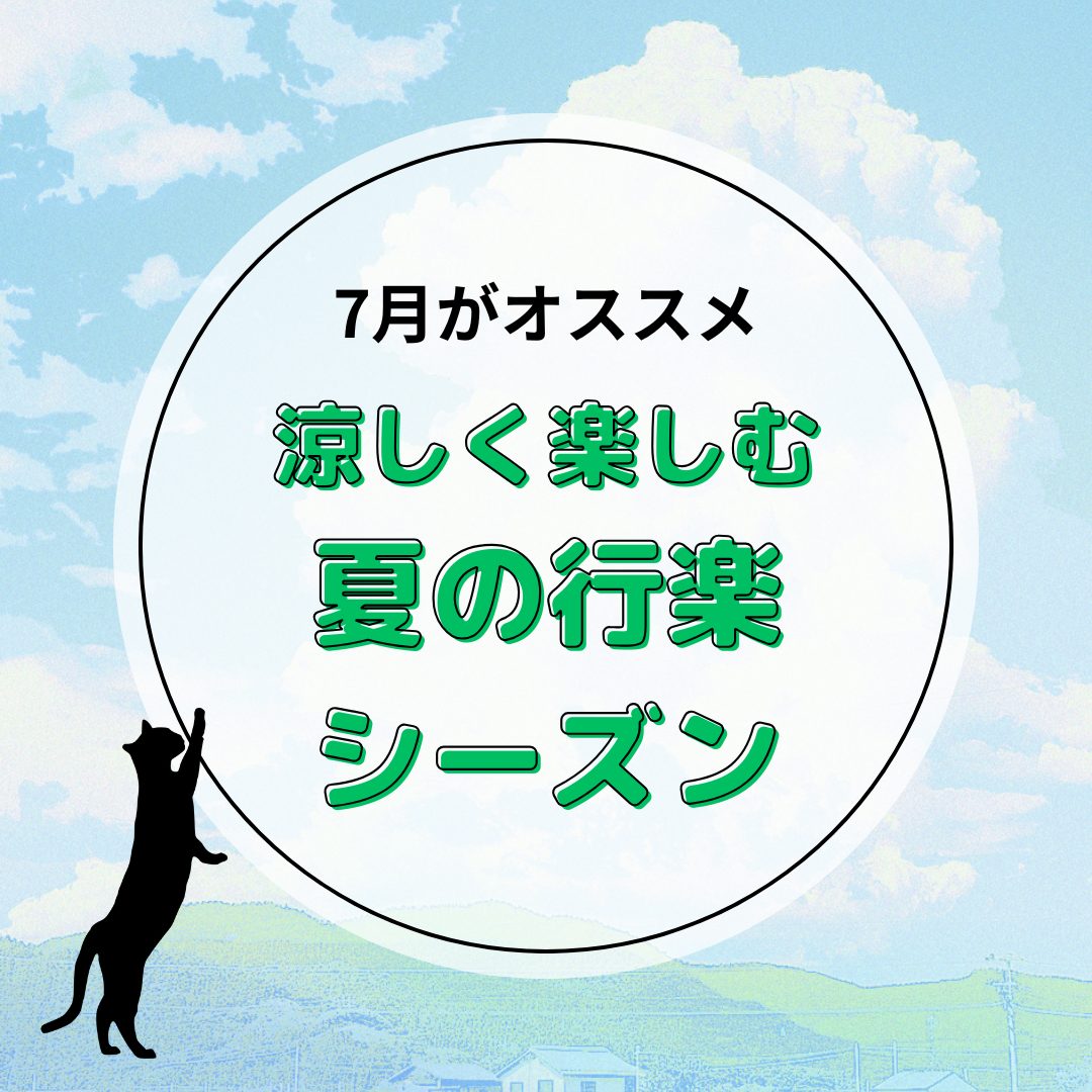 もうすぐ梅雨明け！静岡・梅ヶ島で涼しく楽しむ夏の行楽シーズン