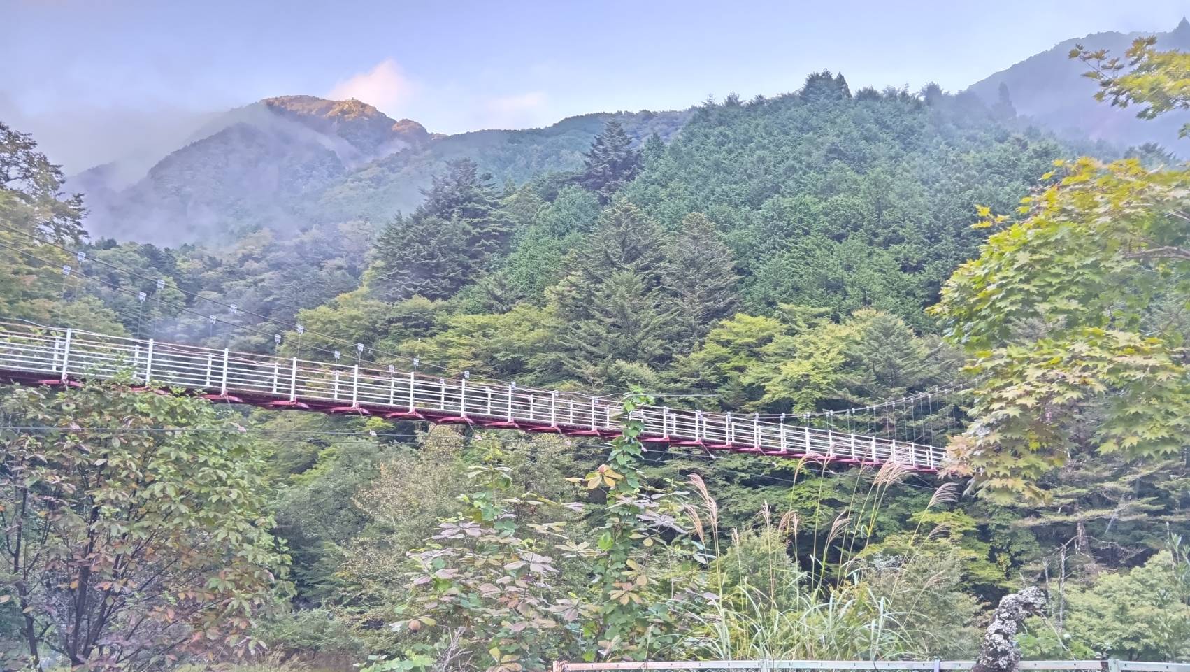 【梅ヶ島温泉】2025年10月上旬の紅葉情報【静岡市北部】