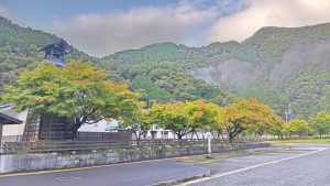 【梅ヶ島温泉】2025年10月上旬の紅葉情報【静岡市北部】