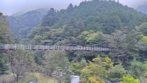 【10月10日最新版】2025年梅ヶ島の紅葉情報