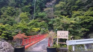 【10月10日最新版】2025年梅ヶ島の紅葉情報