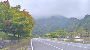 【10月10日最新版】2025年梅ヶ島の紅葉情報