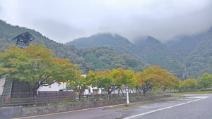 【10月10日最新版】2025年梅ヶ島の紅葉情報