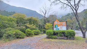 【10月10日最新版】2025年梅ヶ島の紅葉情報