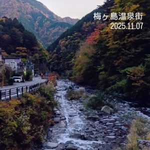 梅ヶ島の紅葉が見ごろに！梅ヶ島温泉・黄金の湯・赤水の滝の最新情報（2025年11月）