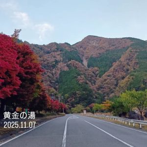 梅ヶ島の紅葉が見ごろに！梅ヶ島温泉・黄金の湯・赤水の滝の最新情報（2025年11月）