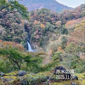 梅ヶ島の紅葉が見ごろに！梅ヶ島温泉・黄金の湯・赤水の滝の最新情報（2025年11月）