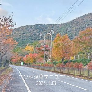 梅ヶ島の紅葉が見ごろに！梅ヶ島温泉・黄金の湯・赤水の滝の最新情報（2025年11月）