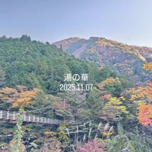 梅ヶ島の紅葉が見ごろに！梅ヶ島温泉・黄金の湯・赤水の滝の最新情報（2025年11月）